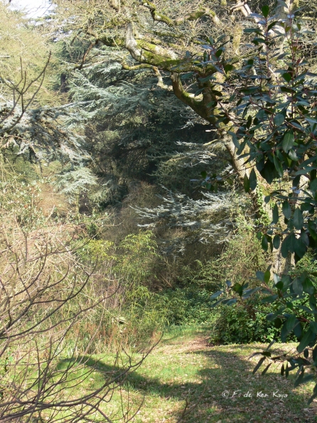 Bois des Moutiers (44) mars 2012